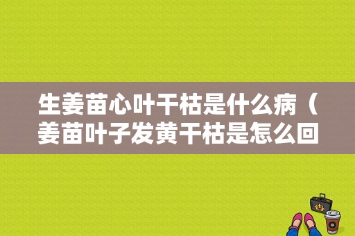 生姜苗心葉干枯是什么病（姜苗葉子發(fā)黃干枯是怎么回事）-圖1