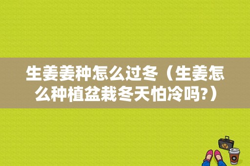 生姜姜種怎么過冬（生姜怎么種植盆栽冬天怕冷嗎?）