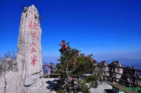 伏牛山生姜（伏牛山出了一名神醫(yī),你們聽說了么）