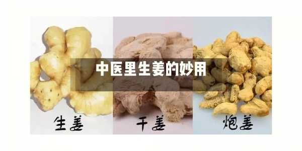 生姜炮姜高良姜（生姜高良姜炮姜的作用區(qū)別）-圖2