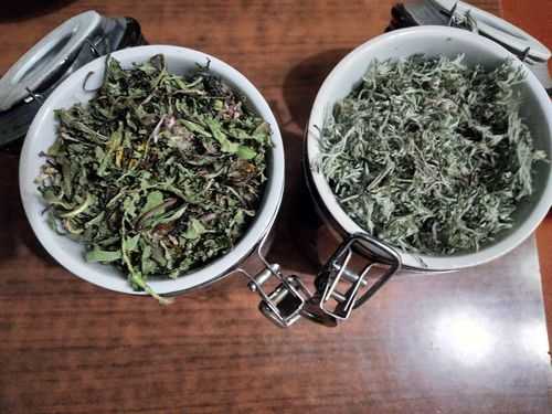 茵陳山楂生姜（蒲公英茵陳山楂能一起喝嗎）-圖2