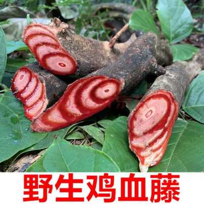 雞血藤能與生姜同食嗎嗎（雞血藤和哪些中藥相克）-圖1