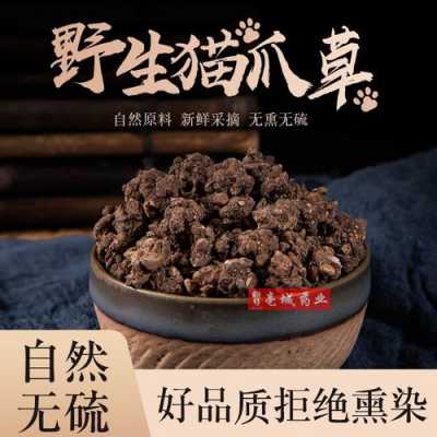 貓爪草與生姜的區(qū)別（貓爪草與澤漆的區(qū)別）-圖3