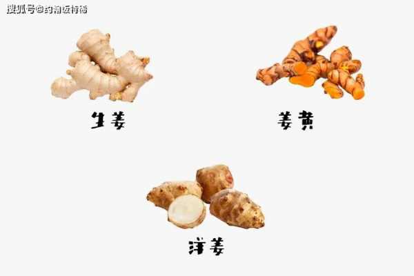 潮州生姜（姜字潮汕話怎么讀）