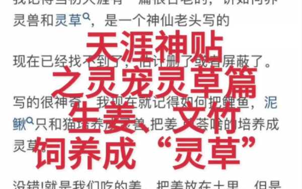 生姜靈寵（生姜靈寵別人叫姜會不會破相）