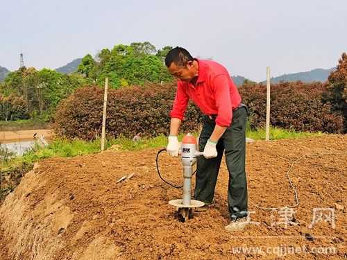 生姜鉆孔（生姜種植打孔機(jī)）-圖2