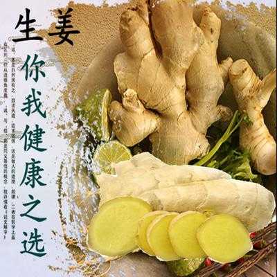 出生姜（出生姜對(duì)身體有啥好處）-圖3