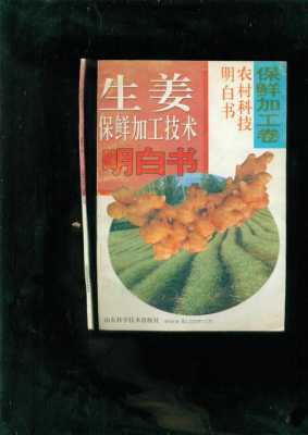 實(shí)踐生姜小說（實(shí)踐的小說）