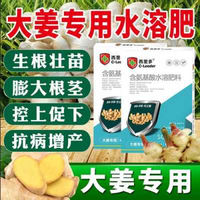 生姜肥料直播（生姜專用肥料）-圖2