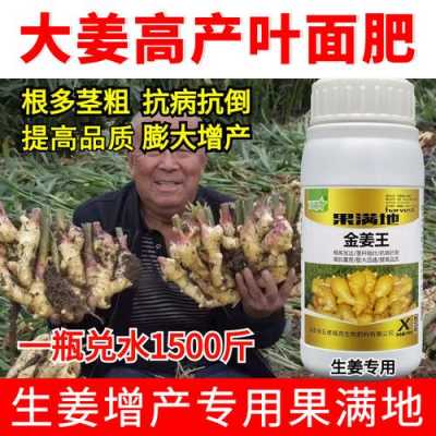 生姜種植膨大（生姜膨大期用什么肥料最好）