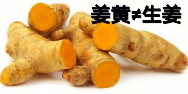 世界上最大的生姜生產(chǎn)國（最大的姜品種）