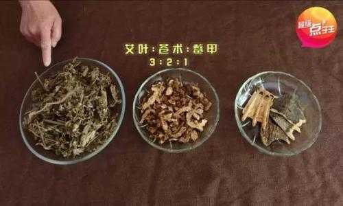 生姜艾葉蒼術(shù)（艾葉蒼術(shù)的最佳配伍）-圖2