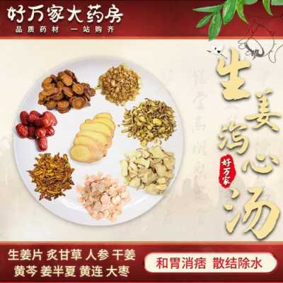 jt生姜瀉心湯（生姜瀉心湯的方歌）