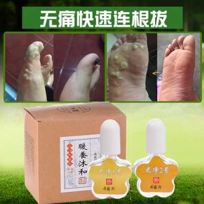 刺猴用生姜（刺猴用生姜泡白醋有用嗎）-圖3