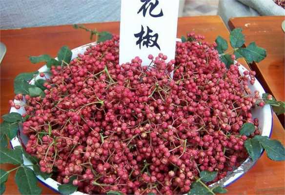 安陽(yáng)生姜花椒加工廠（花椒加工廠投資多少錢）-圖2