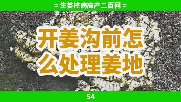 生姜響溝事件的簡(jiǎn)單介紹-圖3