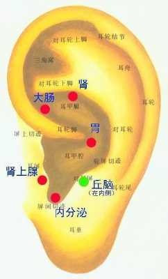 耳朵后面放生姜（耳朵后面可以艾灸嗎?）