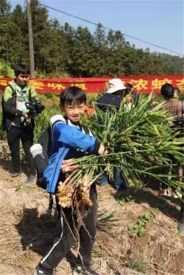 偷挖生姜（偷挖生姜禁牌怎么寫）