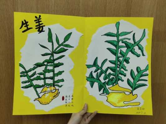 本草中華生姜（生姜 本草綱目）