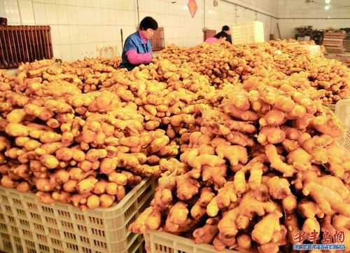 烏沙生姜加工廠（生姜食品加工廠）