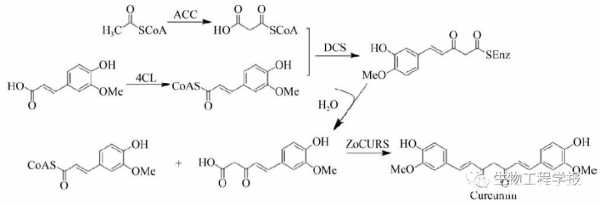 合成生姜素（合成姜黃素生產(chǎn)工藝）-圖1