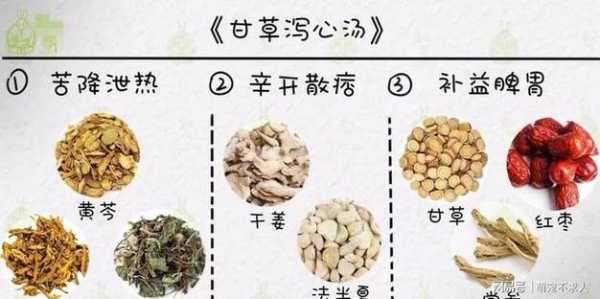 生姜瀉心湯重用炙甘草（生姜瀉心湯合方）-圖2