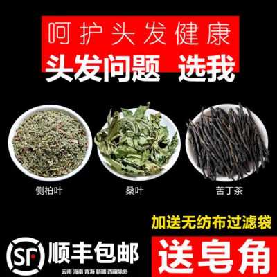 苦丁茶生姜洗頭（苦丁茶洗頭要買什么品種）