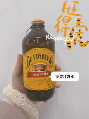 美國生姜汽水（姜汁汽水牌子）