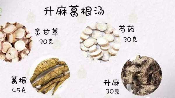 升麻生姜水（升麻可以煲湯嗎）-圖2