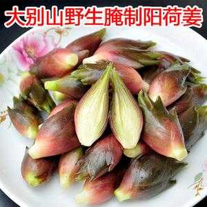 野生姜下飯菜（野生姜吃什么好）