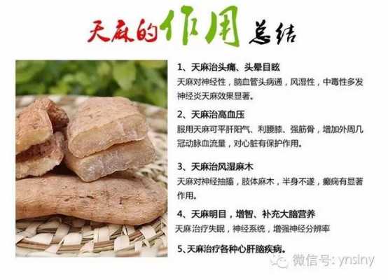 天麻和生姜能治療腦梗嗎（天麻和生姜煮水喝有什么功效）-圖3