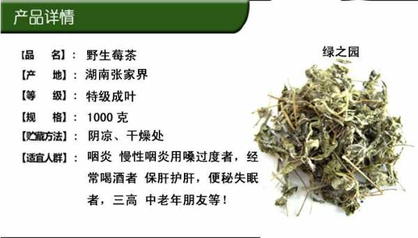 生姜和莓茶泡水喝的功效（莓茶姜泡水喝功效與作用禁忌）-圖2