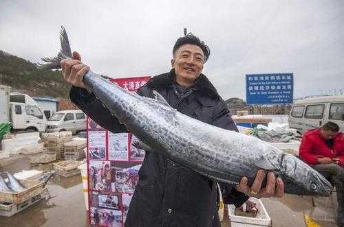 鲅魚圈生姜（鲅魚圈盛產(chǎn)鲅魚嗎）-圖1