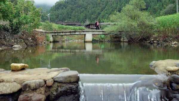 大田濟(jì)陽生姜（大田縣濟(jì)陽鄉(xiāng)大墘村）-圖3