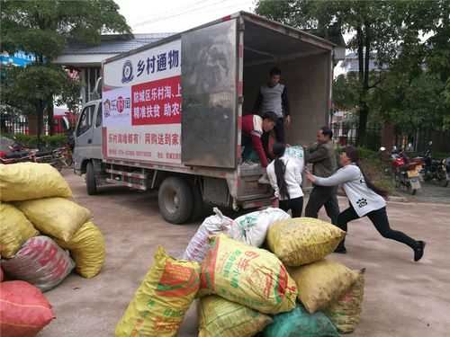 宣恩生姜收購(gòu)（長(zhǎng)期大量收購(gòu)生姜電話(huà)）-圖2