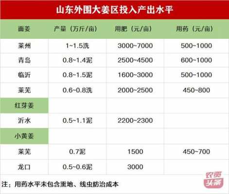 萊州生姜行情（萊州生姜行情分析）-圖2