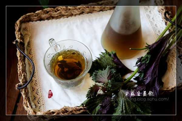 生姜加紫蘇飲是什么類-圖2