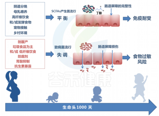 生姜的抗微生物作用機(jī)制-圖2