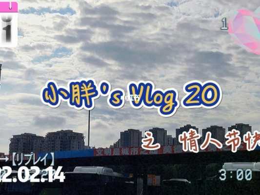 生姜小胖vlog-圖2