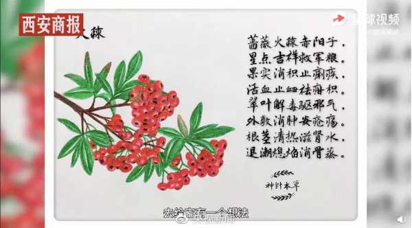 生姜花詩詞-圖1