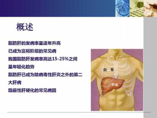 生姜降脂肪肝的原理