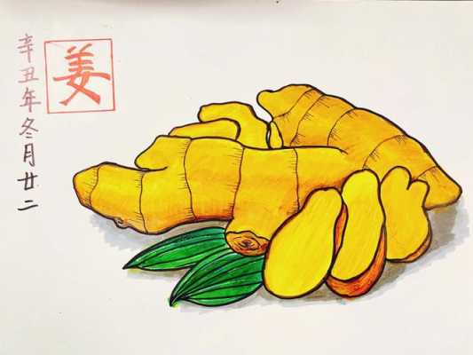 生姜可愛(ài)畫(huà)-圖1