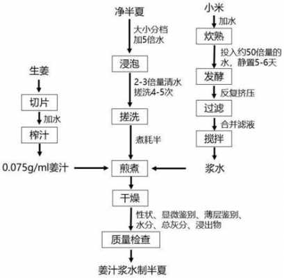 生姜飲片工藝規(guī)程-圖3