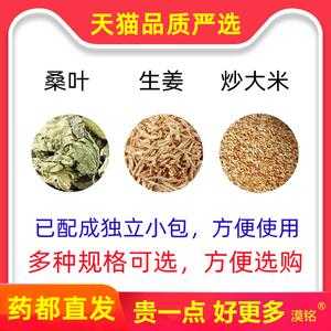 桑葉加生姜炒米泡茶的功效