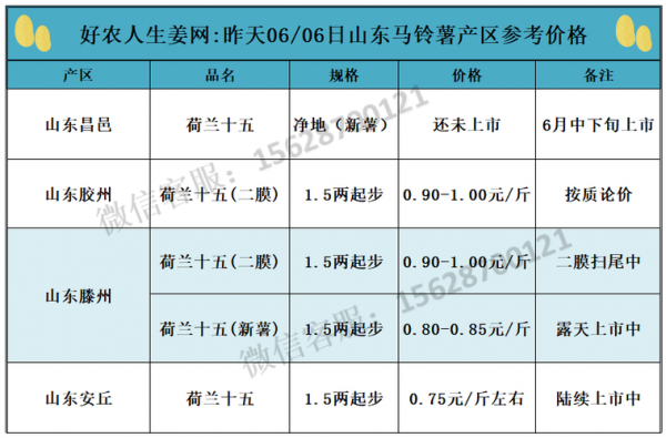 生姜報價群