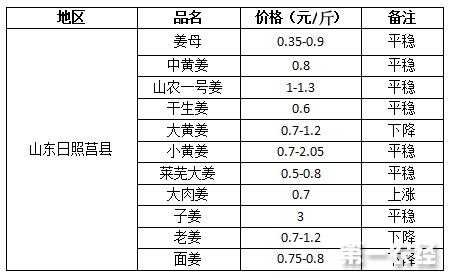 2017年生姜多少錢一斤