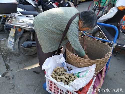 農(nóng)村大嬸在街頭賣生姜視頻