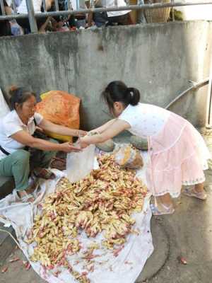 農(nóng)村大嬸在街頭賣生姜視頻-圖2