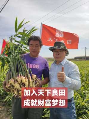 生姜種植股東代表大會會議-圖3