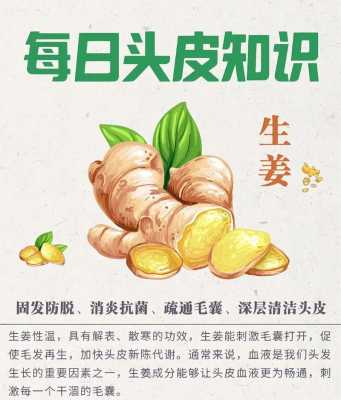 什么天氣會造成生姜減產(chǎn)-圖1